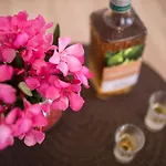 Oleander * Punat