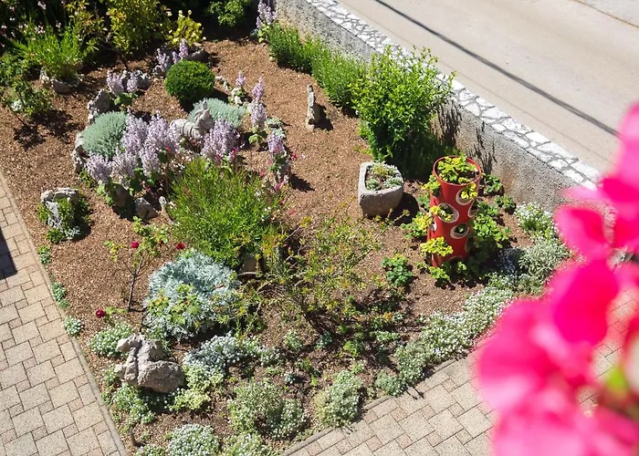 아파트 Oleander 푸나트